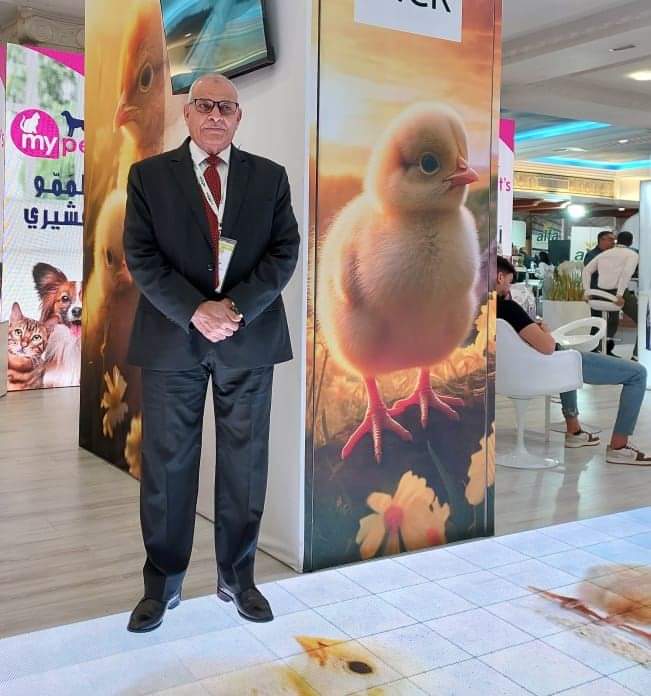 رئيس شعبة الدواجن:أسعار البيض مستقرة