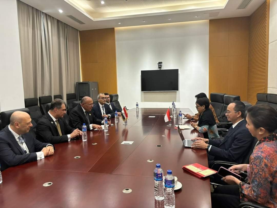 سامح شكرى يبحث مع وزيرة خارجية إندونيسيا الأوضاع فى غزة