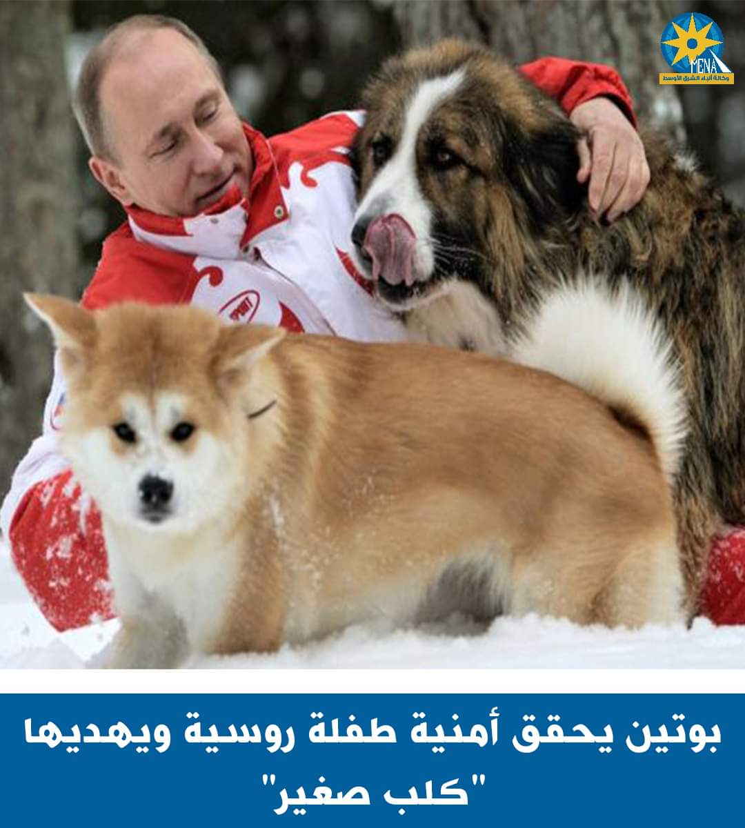 "كلب صغير" هدية بوتين.. للطفلة ماشا