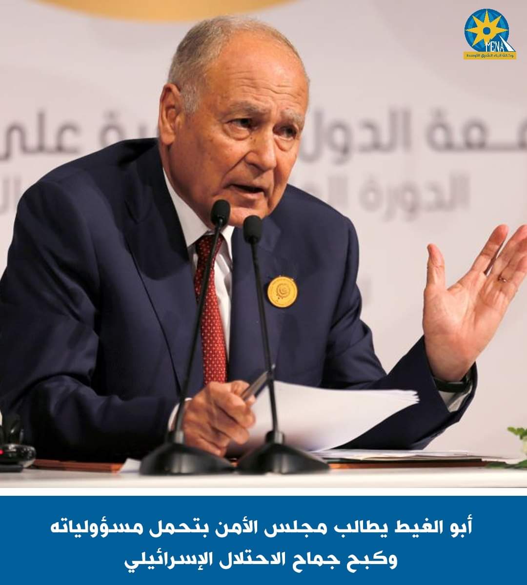 أبو الغيط يطالب مجلس الأمن وأمريكا كبح جماح الإحتلال الإسرائيلى