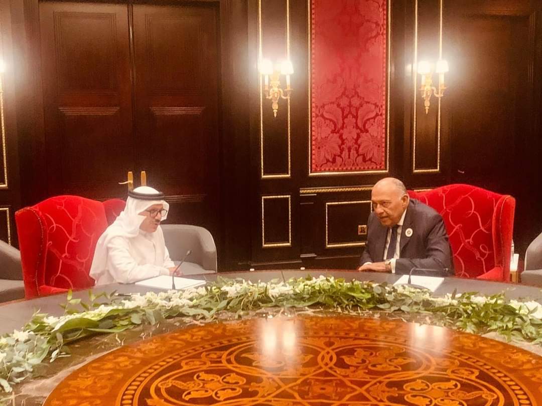 شكرى والزيانى بحثا مستجدات الحرب الإسرائيلية على قطاع غزة