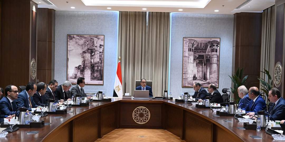 رئيس الوزراء يبحث مع ممثلى قطاع الدواء توطين الصناعة وزيادة معدلات التصدير 