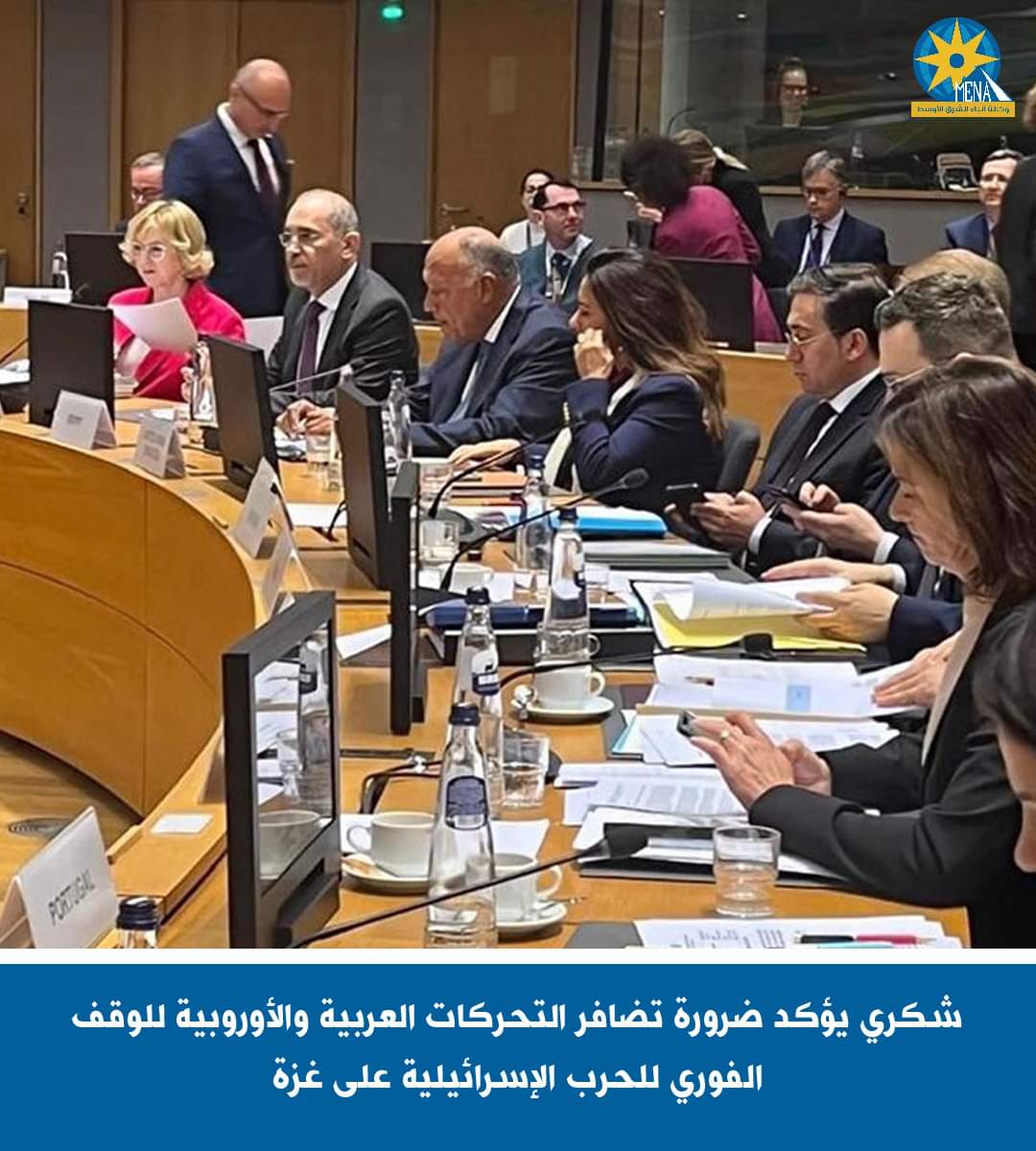 وزير الخارجية : ضرورة تضافر التحركات العربية والأوروبية لوقف الحرب الإسرائيلية على قطاع غزة