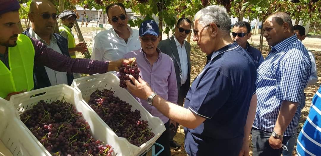وزير الزراعة يتفقد محطة تصدير بالنوبارية