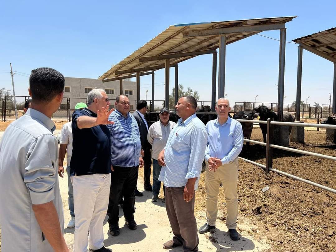 القصير يوجه برفع كفاءة مزرعة الإنتاج الحيوانى بالعامرية