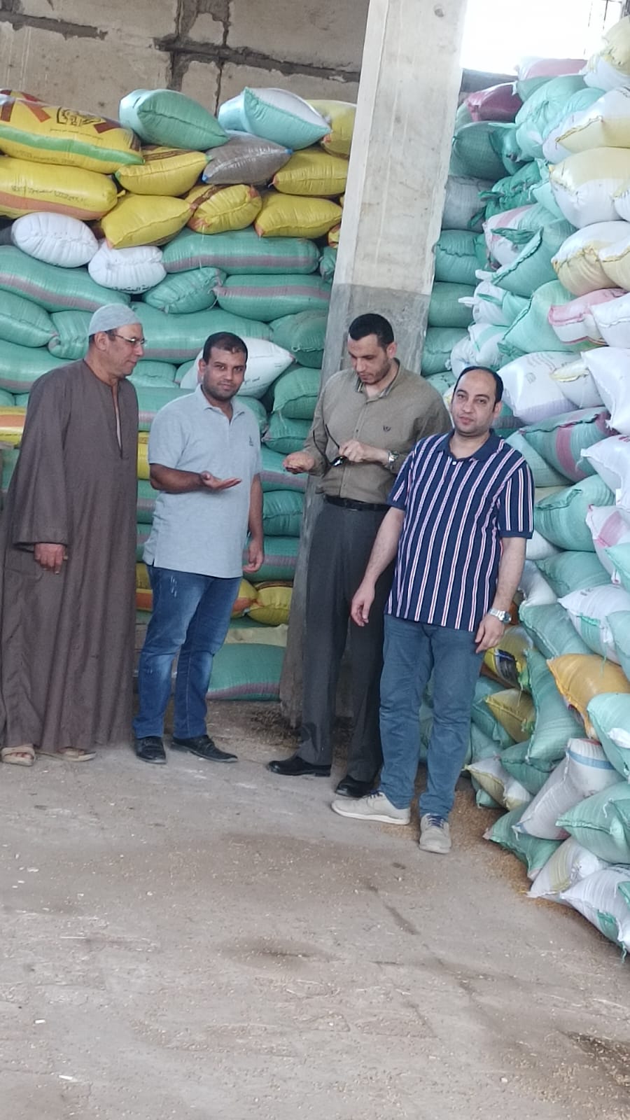 البحيرة: توريد 176 ألف طن قمح للشون والصوامع حتي الآن