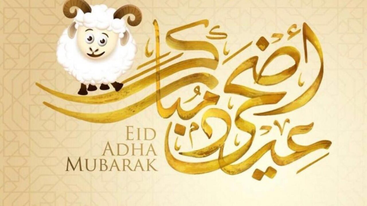 فلكيا.. موعد إجازة عيد الأضحى المبارك 1445