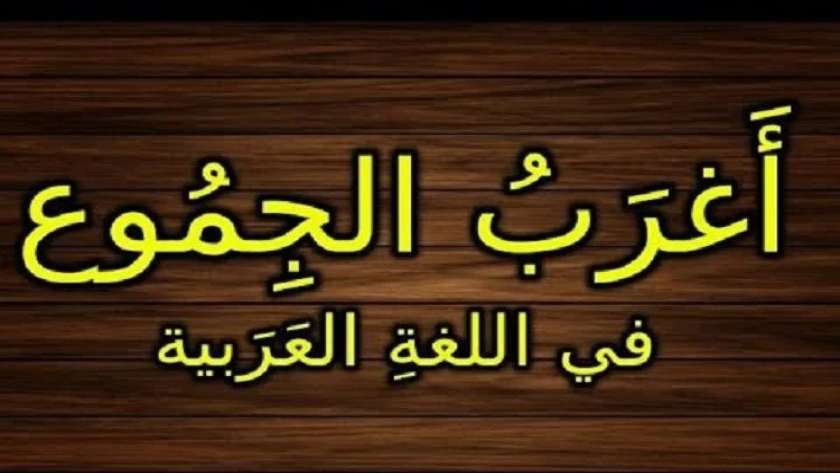 تعرف علي أغرب جموع اللغة العربية المتوقعة في امتحان الثانوية العامة 2024