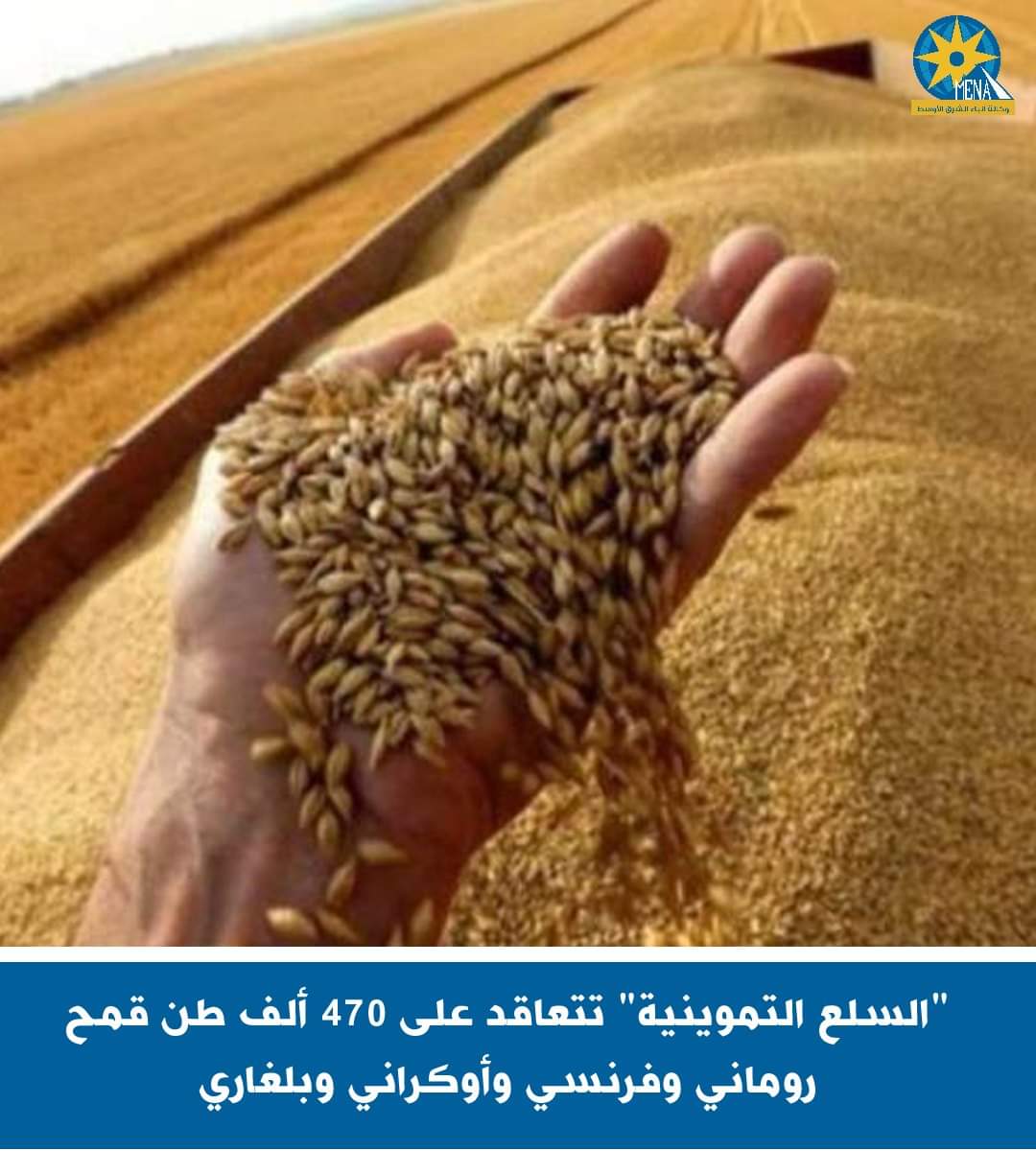 التعاقد على شراء 470 ألف طن قمح رومانى وفرنسى وأوكرانى وبلغارى