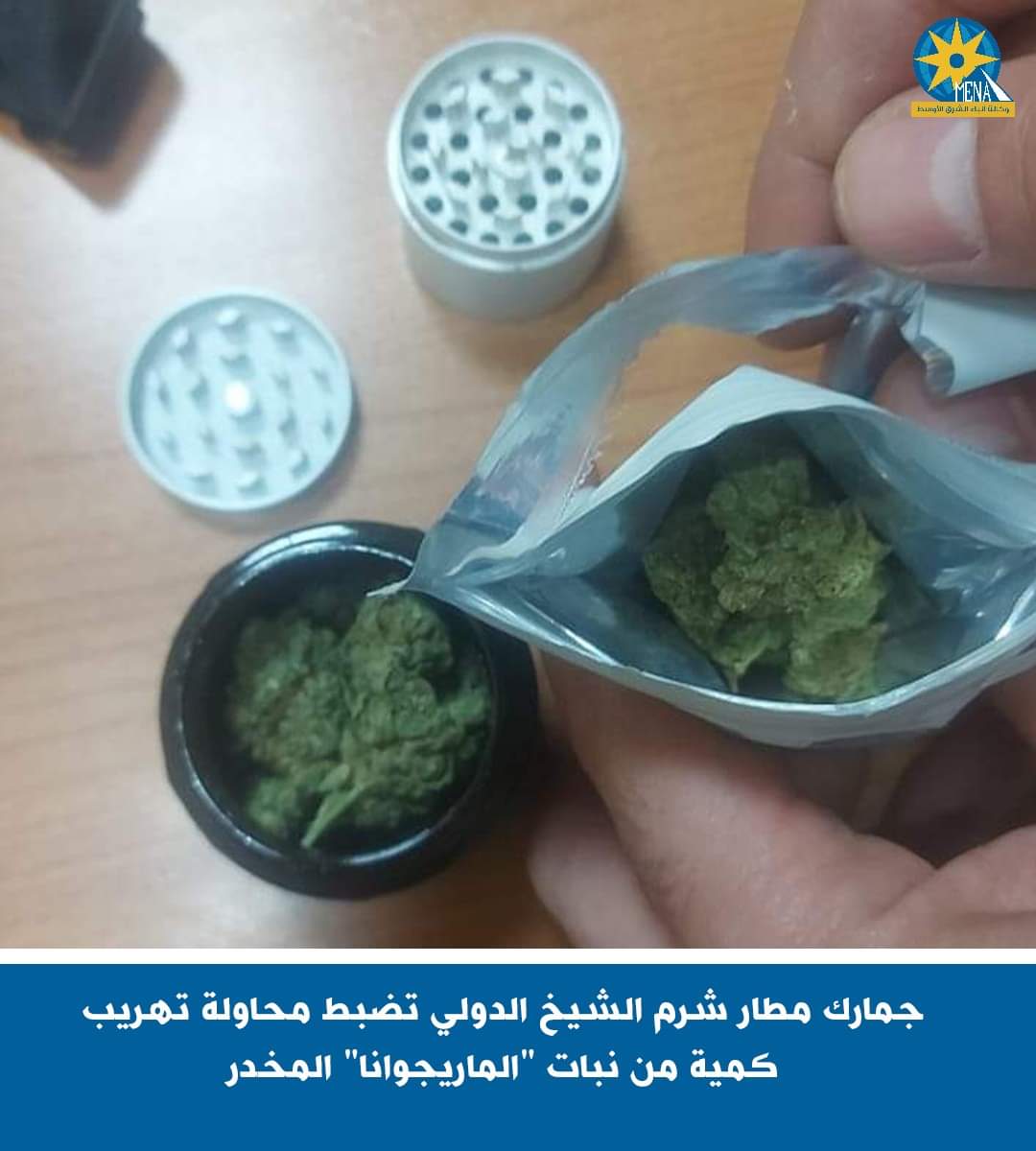 ضبط محاولة تهريب كمية من نبات "الماريجوانا".. بمطار شرم الشيخ