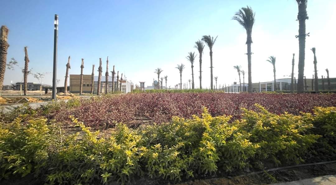 رئيس صندوق التنمية الحضرية:مشروع "حدائق تلال الفسطاط"على مساحة 404 أفدنة