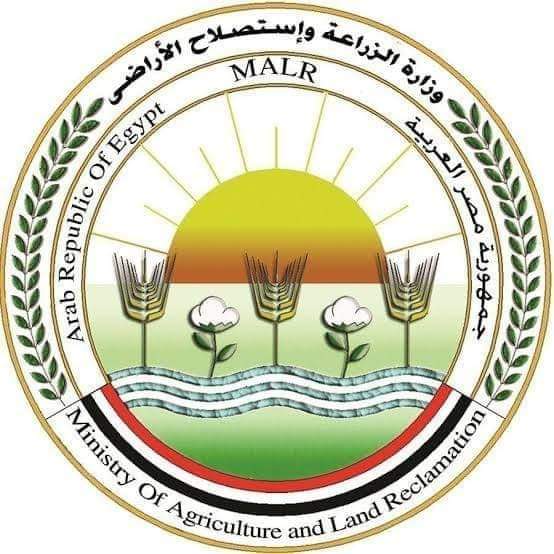 الزراعة تنفى قطع الأشجار بحديقة الحيوان