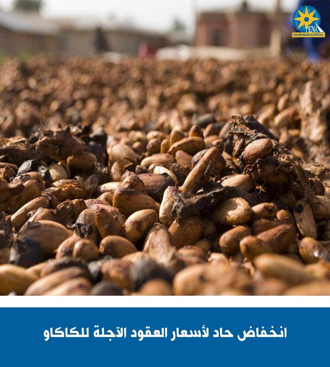 انخفاض أسعار الكاكاو.. عالميا