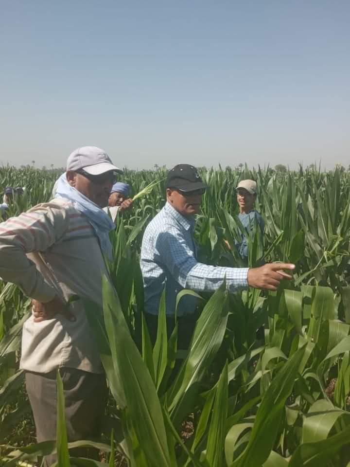 وزير الزراعة : استمرار عمل المعامل والمعاهد والإدارات والقطاعات الخدمية طوال إجازة عيد الأضحى