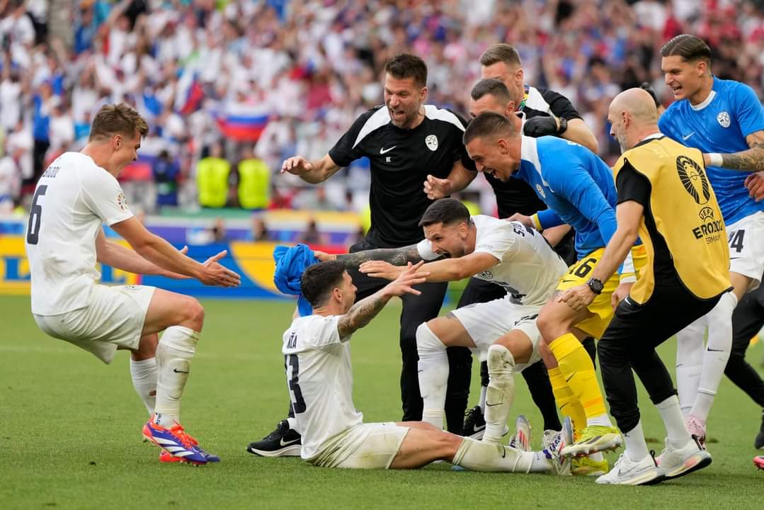 سلوفينيا والدنمارك 1-1