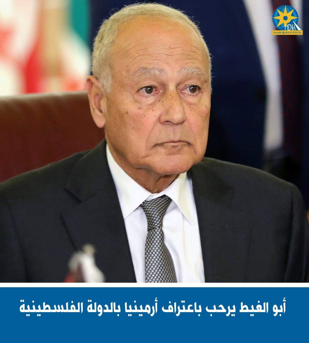 أبو الغيط يرحب باعتراف أرمينيا بالدولة الفلسطينية