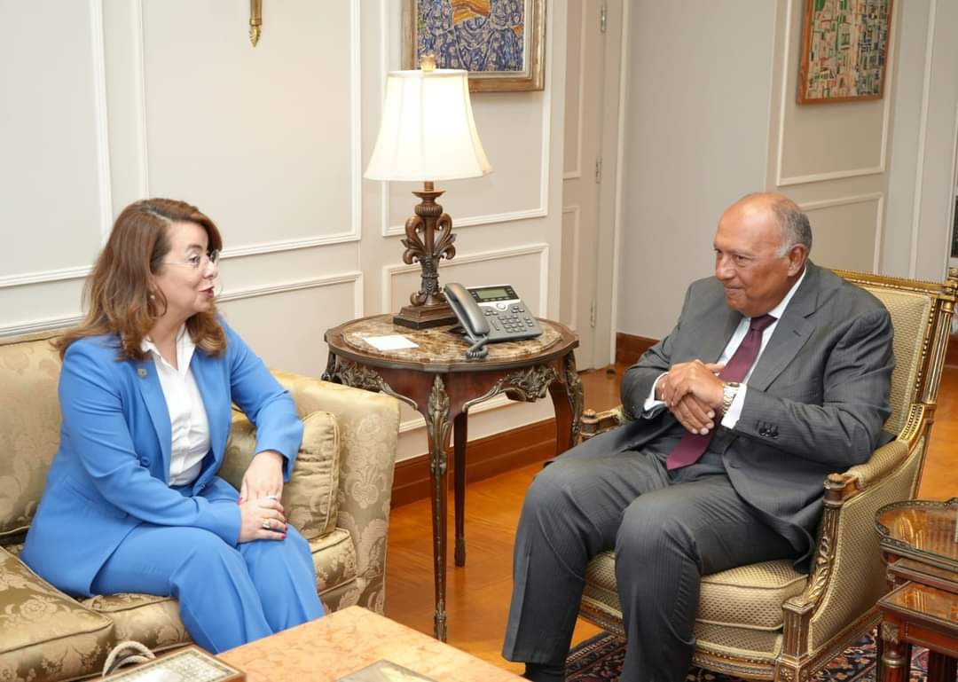 وزير الخارجية يلتقي بالمُديرة التنفيذية لمكتب الأمم المتحدة المعنى بالمخدرات والجرايم