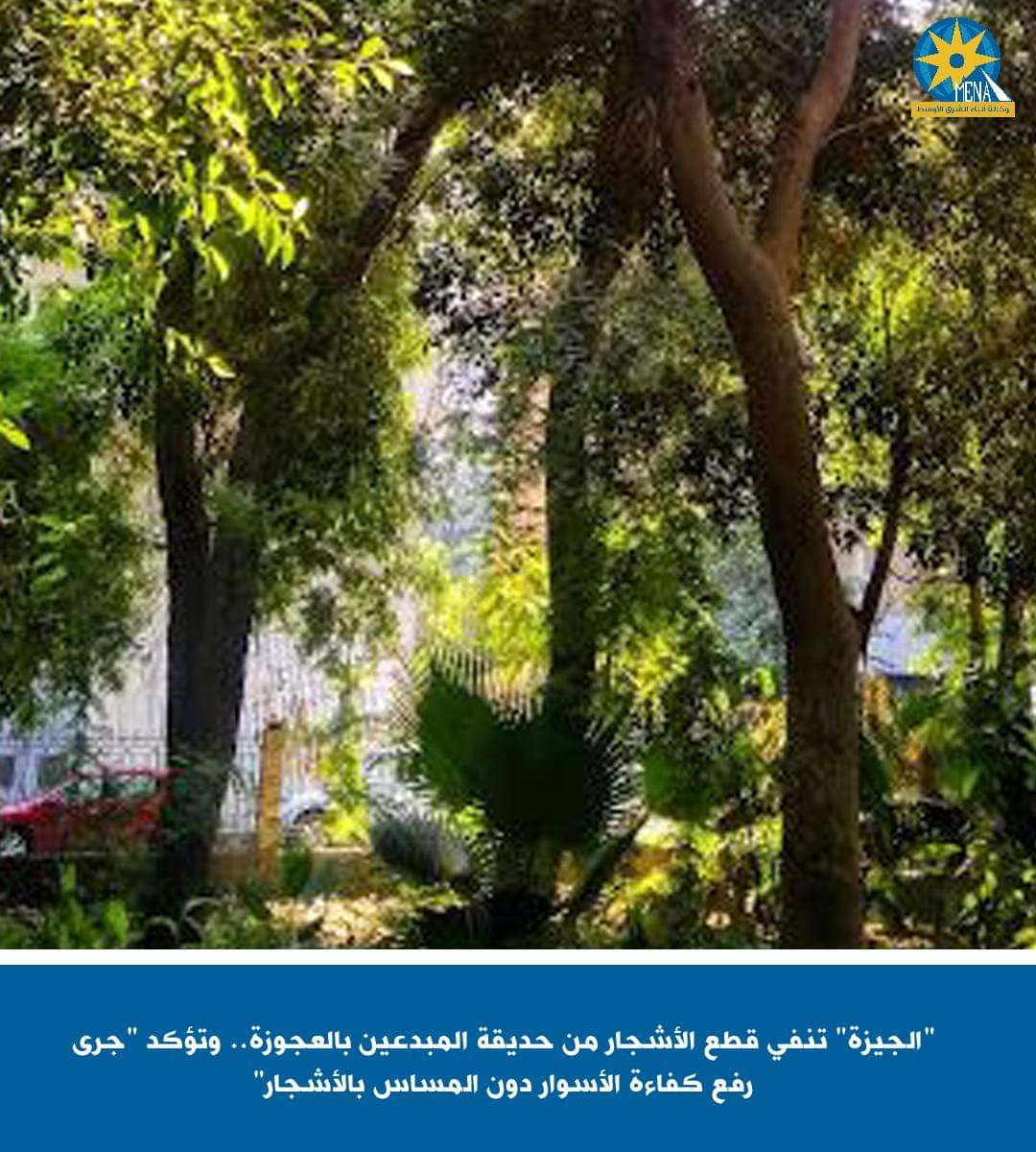"الجيزة" تنفى قطع الأشجار من حديقة المبدعين بالعجوزة