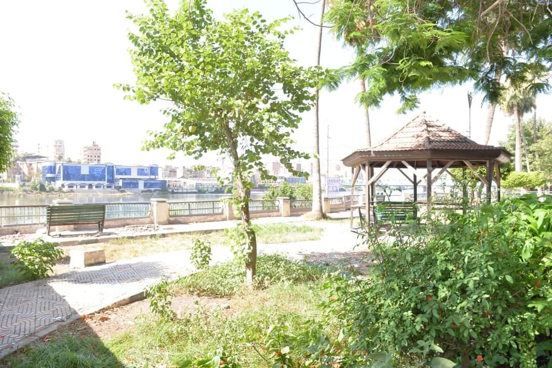 الدقهلية تنفى قطع الأشجار بحديقة عروس النيل والحدائق العامة بالمنصورة