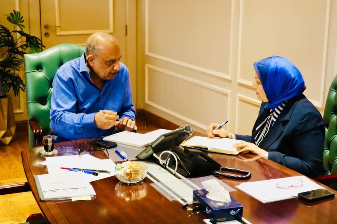 وزير الكهرباء والطاقة المتجددة : نعمل على استقرار التغذية الكهربائية والوفاء بمتطلبات التنمية