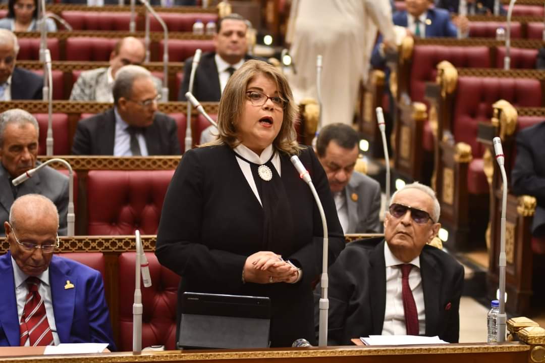 وكيلة الشيوخ : برنامج الحكومة جاء شاملا وترجمة لتكليفات الرئيس