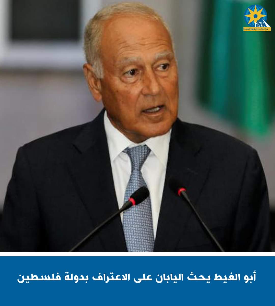 أبو الغيط يحث اليابان على الاعتراف بدولة فلسطين