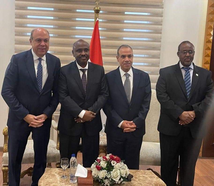 بدر عبد العاطى .. يلتقى وزيرى خارجية جيبوتى والصومال