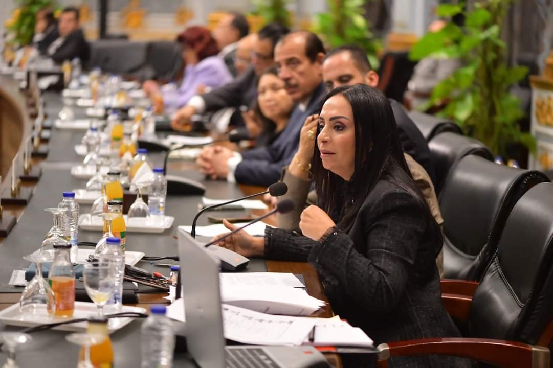 وزارة التضامن :إعادة توجيه استثمارات بنك ناصر لدعم الفئات الأكثر احتياجا
