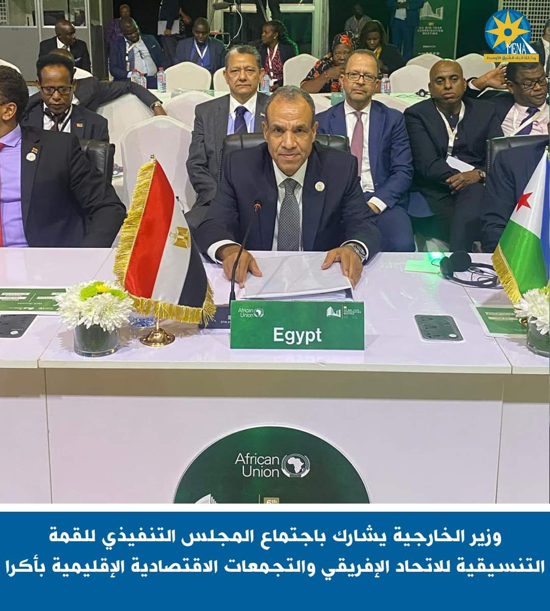 وزير الخارجية يشارك فى القمة التنسيقية للإتحاد الإفريقي