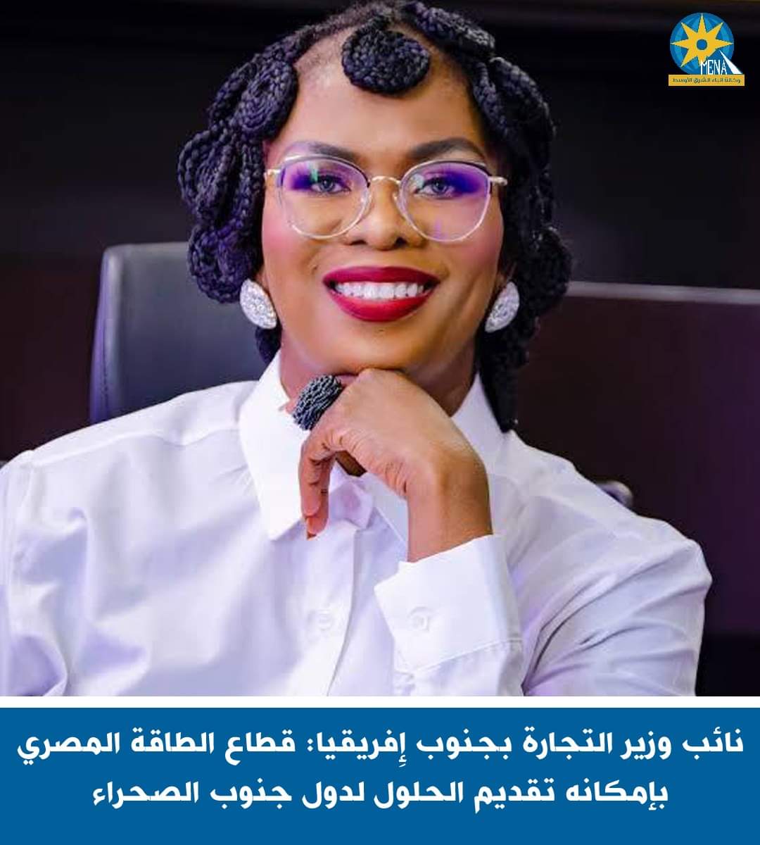 نائب وزير التجارة بجنوب إِفريقيا : قطاع الطاقة المصرى بإمكانه تقديم الحلول لدول جنوب الصحراء