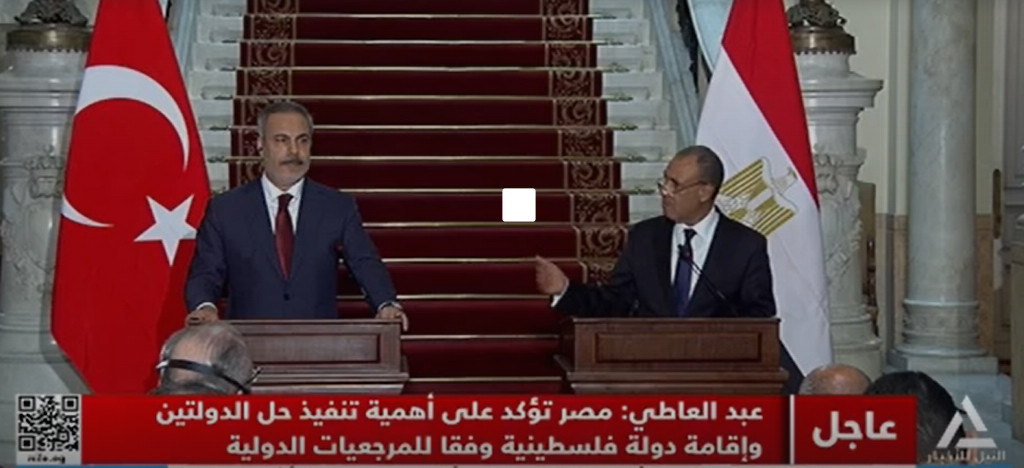 وزير الخارجية: مصر تؤكد على أهمية تنفيذ حل الدولتين .. وإقامة دولة فلسطينية