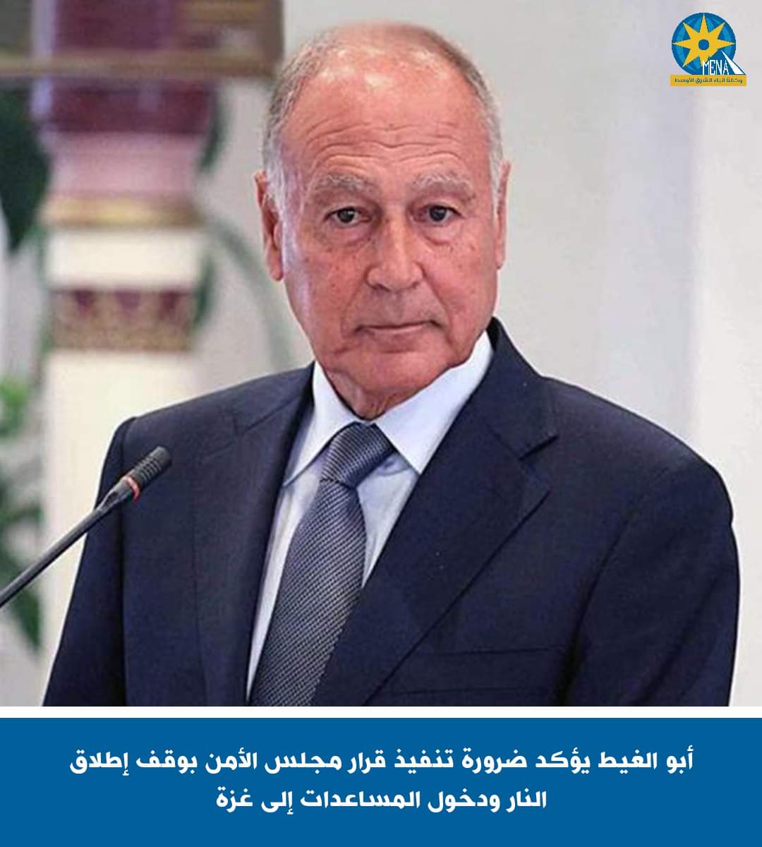 أبو الغيط يؤكد ضرورة تنفيذ قرار مجلس الأمن بوقف إطلاق النار ودخول المساعدات إلى غزة
