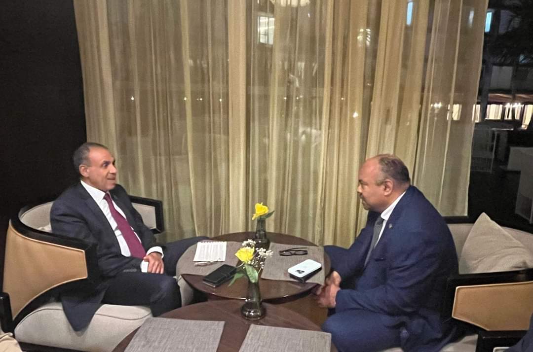 وزير الخارجية يبحث مع نظيره التنزانى زيادة التبادل التجارى 