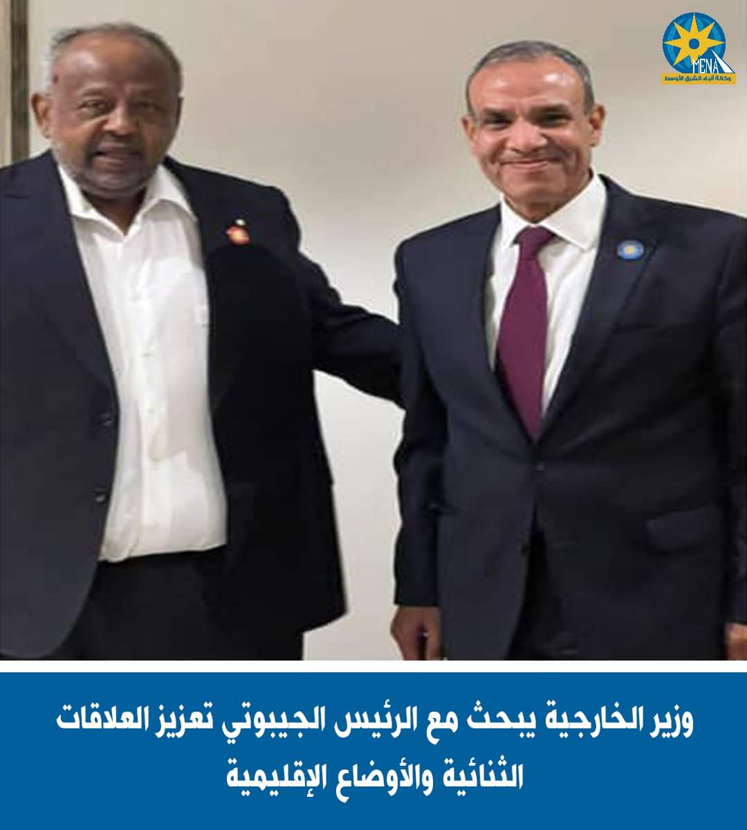 وزير الخارجية يبحث مع رئيس جيبوتى تعزيز العلاقات الثنائية والأوضاع الإقليمية