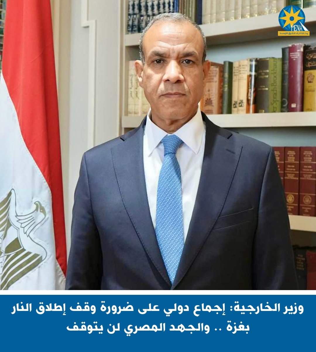 وزيرالخارجية : إجماع دولى على ضرورة وقف إطلاق النار بـغزة