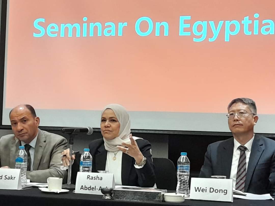 "رئيس الضرائب": 2066 شركة صينية تعمل فى مصر باستثمارات 8 مليارات دولار