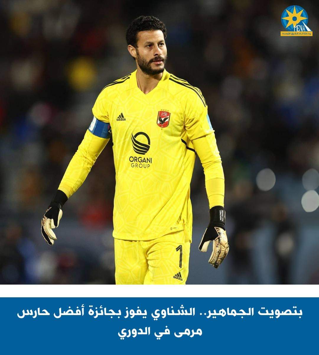 الشناوى أحسن حارس مرمى فى الدورى