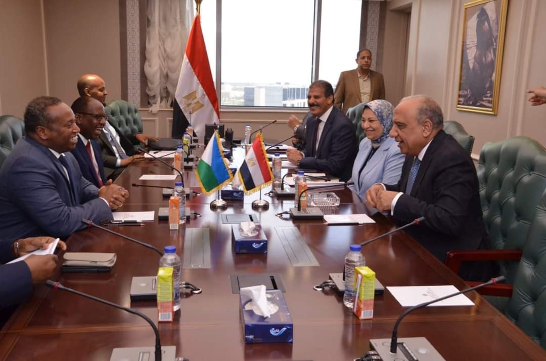 عصمت : مستعدون لتلبية احتياجات جيبوتى من المجالات المتعلقة بالكهرباء وتقديم الدعم الفنى 