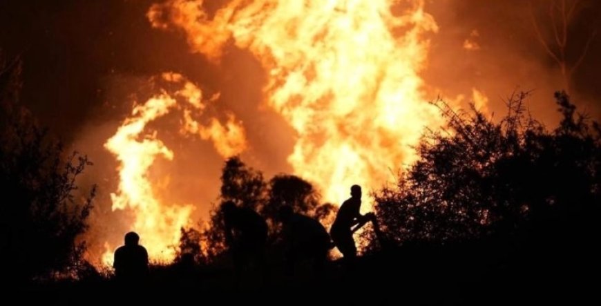 إصابة 78 شخصا .. في حريق اندلع بغابات «إزمير» غربي تركيا