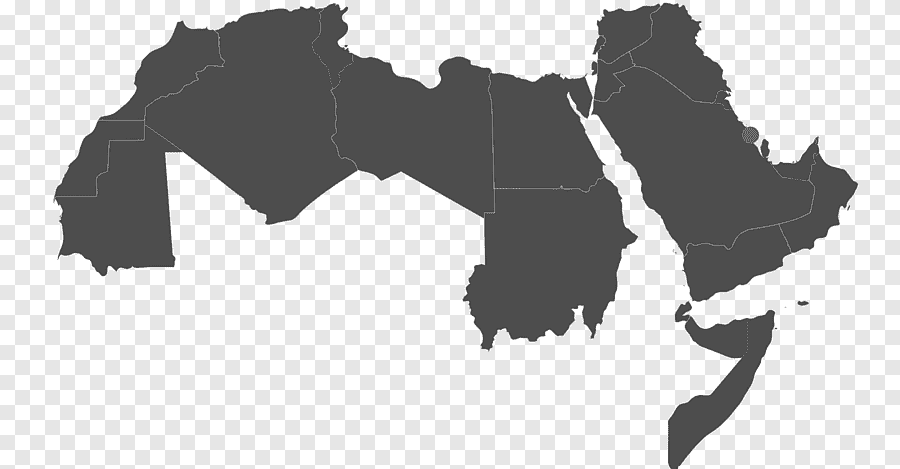 نبيل فكري .. يكتب: نحنُ «غرابا عك» !!