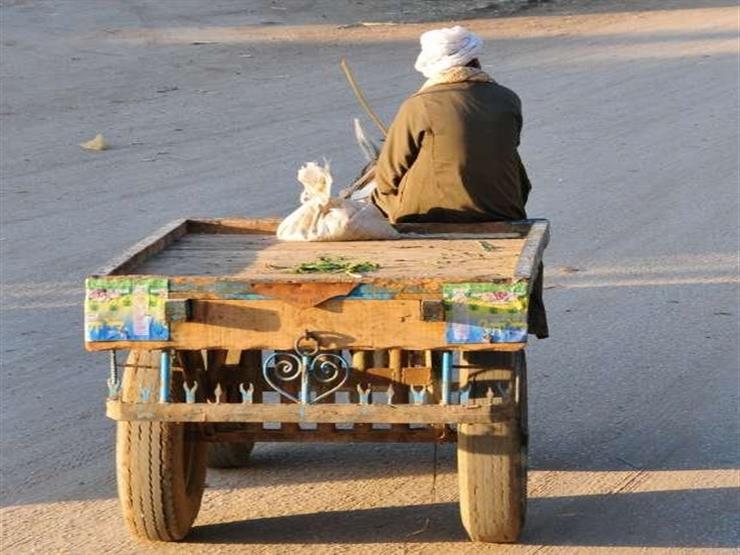 «زي الكارو» .. قصيدة للشاعر / حسين موصلي