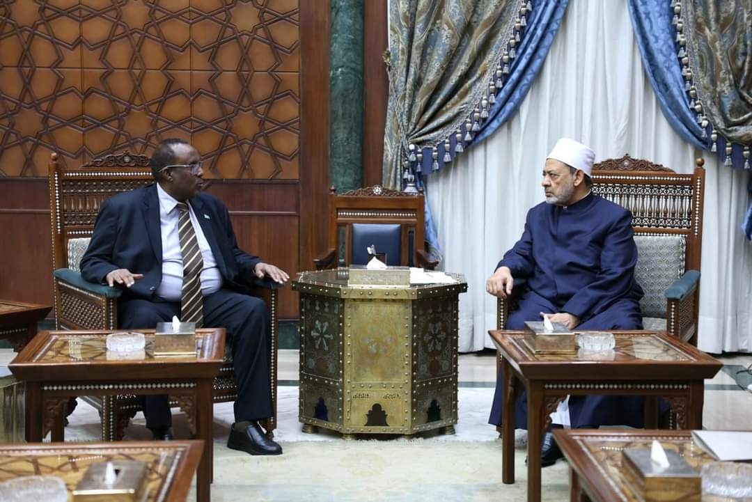 الإمام الأكبر : الأزهر الشريف يتضامن مع الشعب الصومالي فى مواجهة التحديات والصراعات