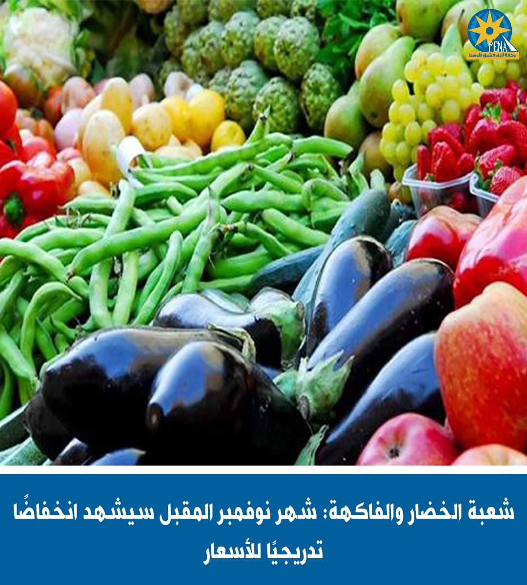 نجيب : نوفمبر المقبل سيشهد انخفاضًا تدريجيًا لأسعار الخضار والفاكهة