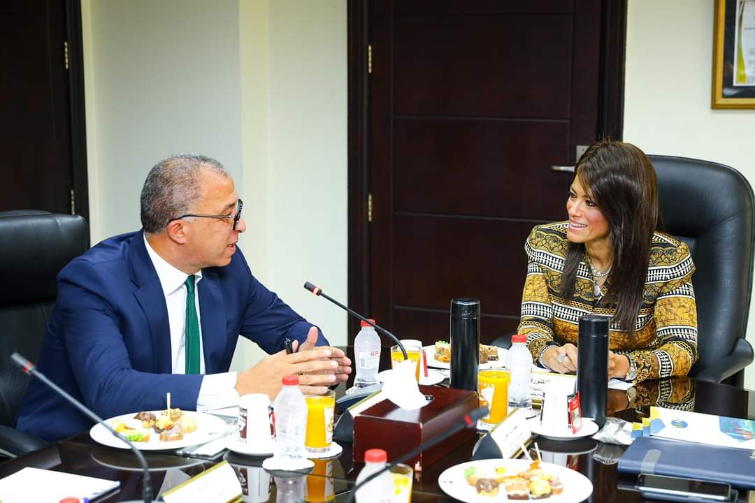المشاط تلتقى مجلس إدارة معهد التخطيط القومى