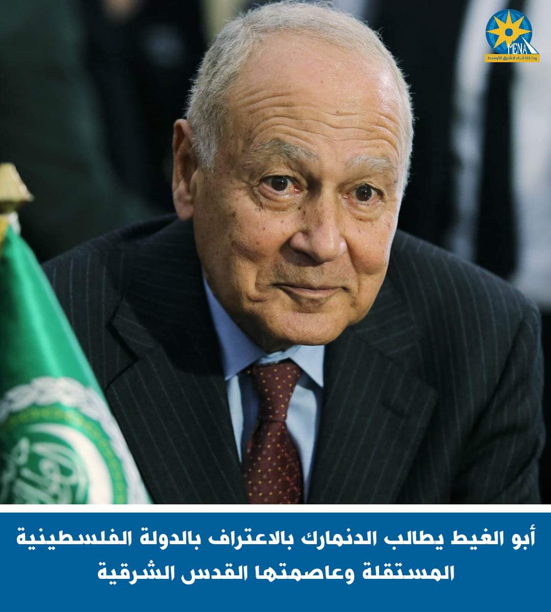 أبوالغيط يطالب الدنمارك بالاعتراف بالدولة الفلسطينية وعاصمتها القدس الشرقية