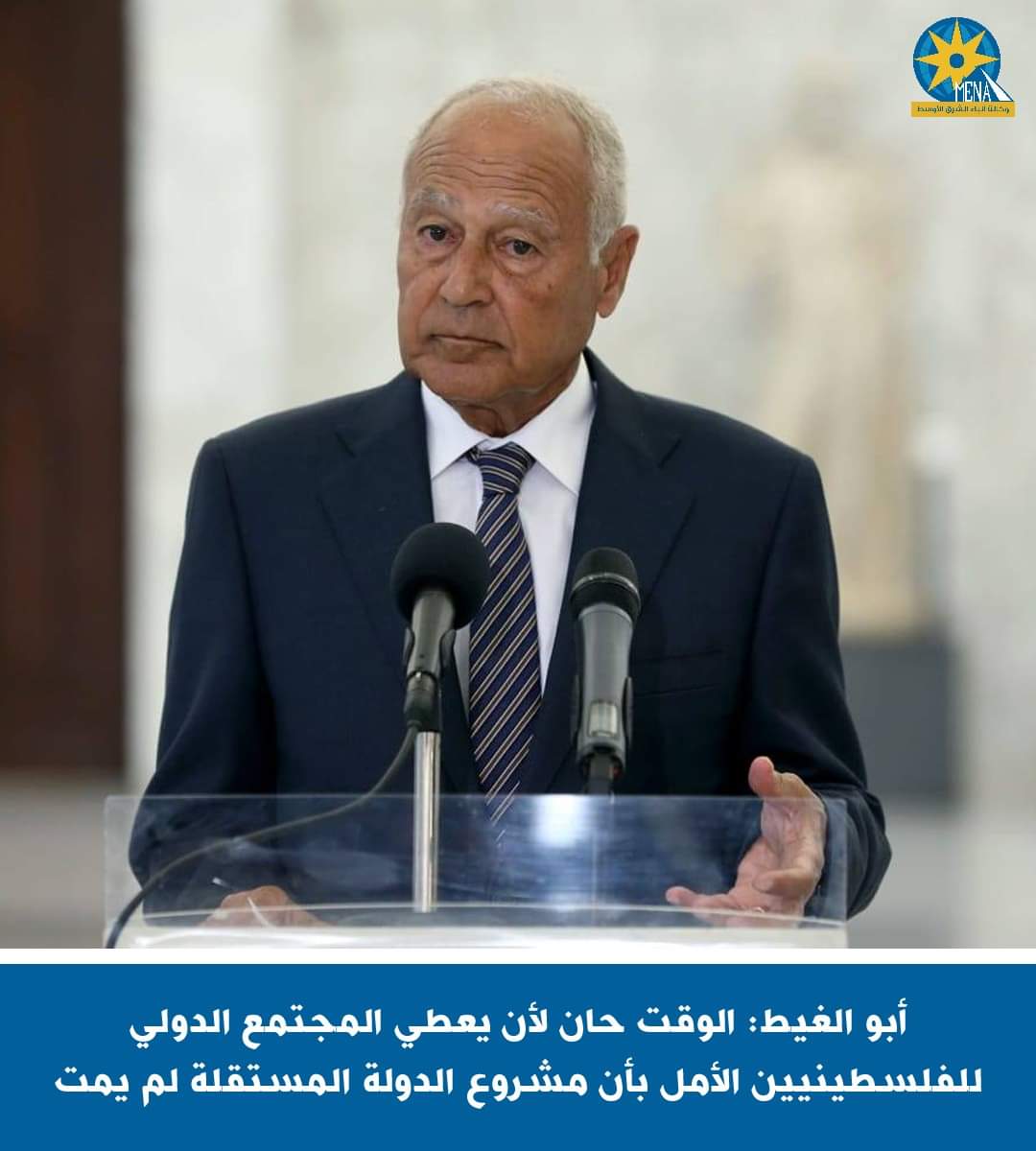 أبوالغيط يخاطب المجتمع الدولى : حان الوقت لاعطاء الفلسطينيين الأمل بأن مشروع الدولة المستقلة لم يمت 