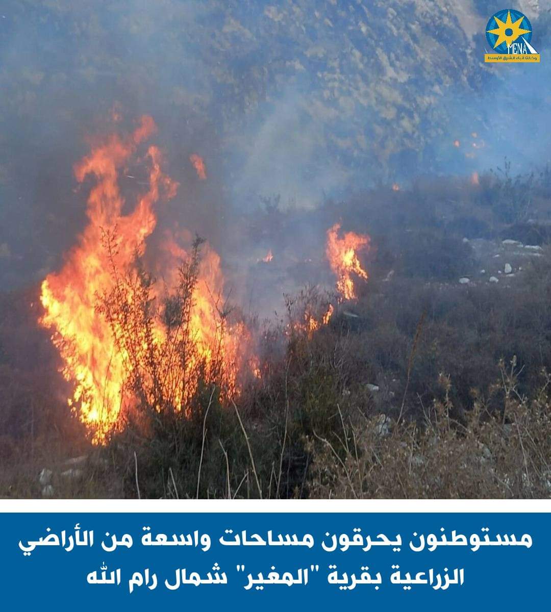 المستوطنون أحرقوا أراضى زراعية برام الله