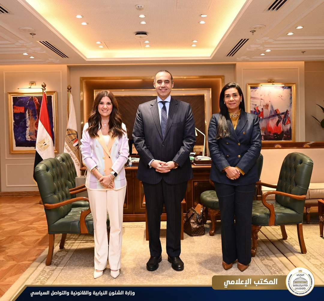 وزير الشئون النيابية يلتقى مدير عام شركة مايكروسوفت