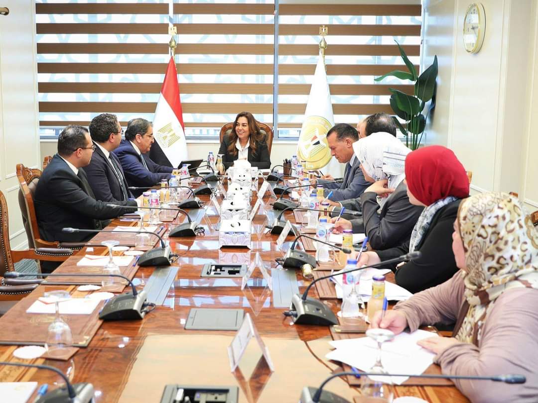 وزيرة التنمية المحلية تبحث مع رئيس شركة "إى فاينانس" ملفات التعاون المشترك