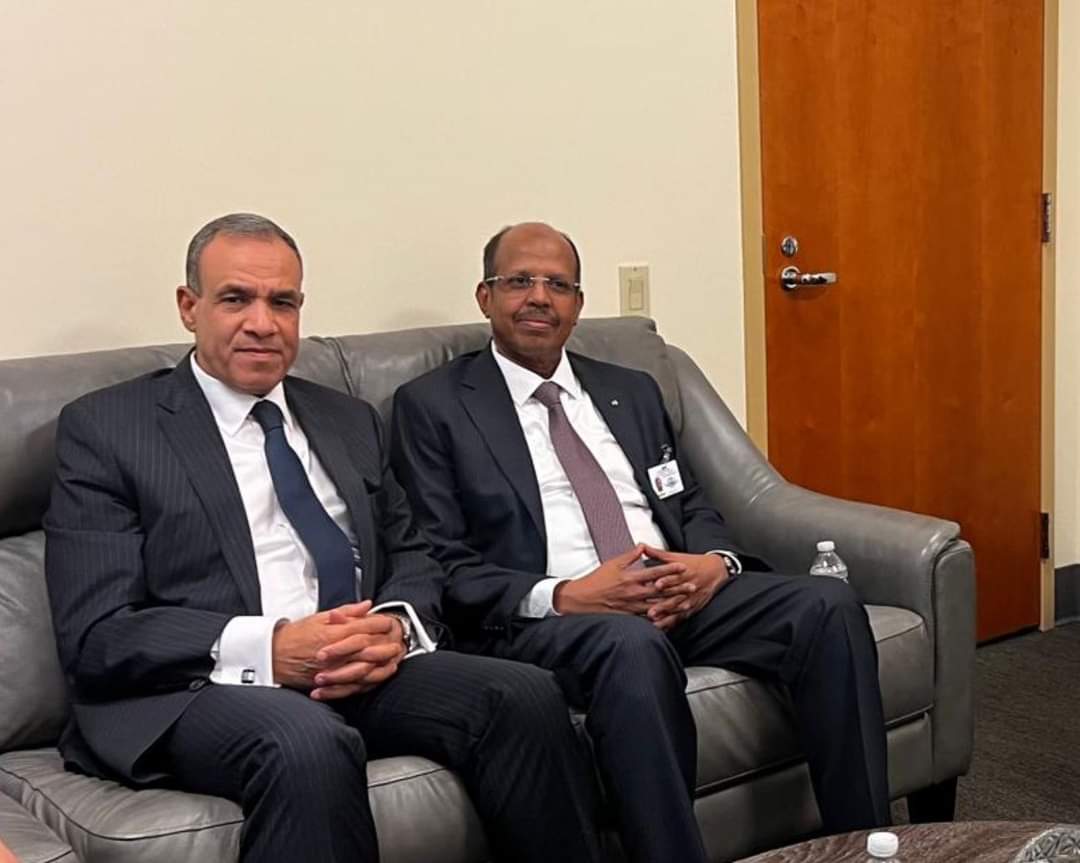 وزير الخارجية يبحث مع نظيره الجيبوتى.. المستجدات في القرن الأفريقى والسودان والصومال